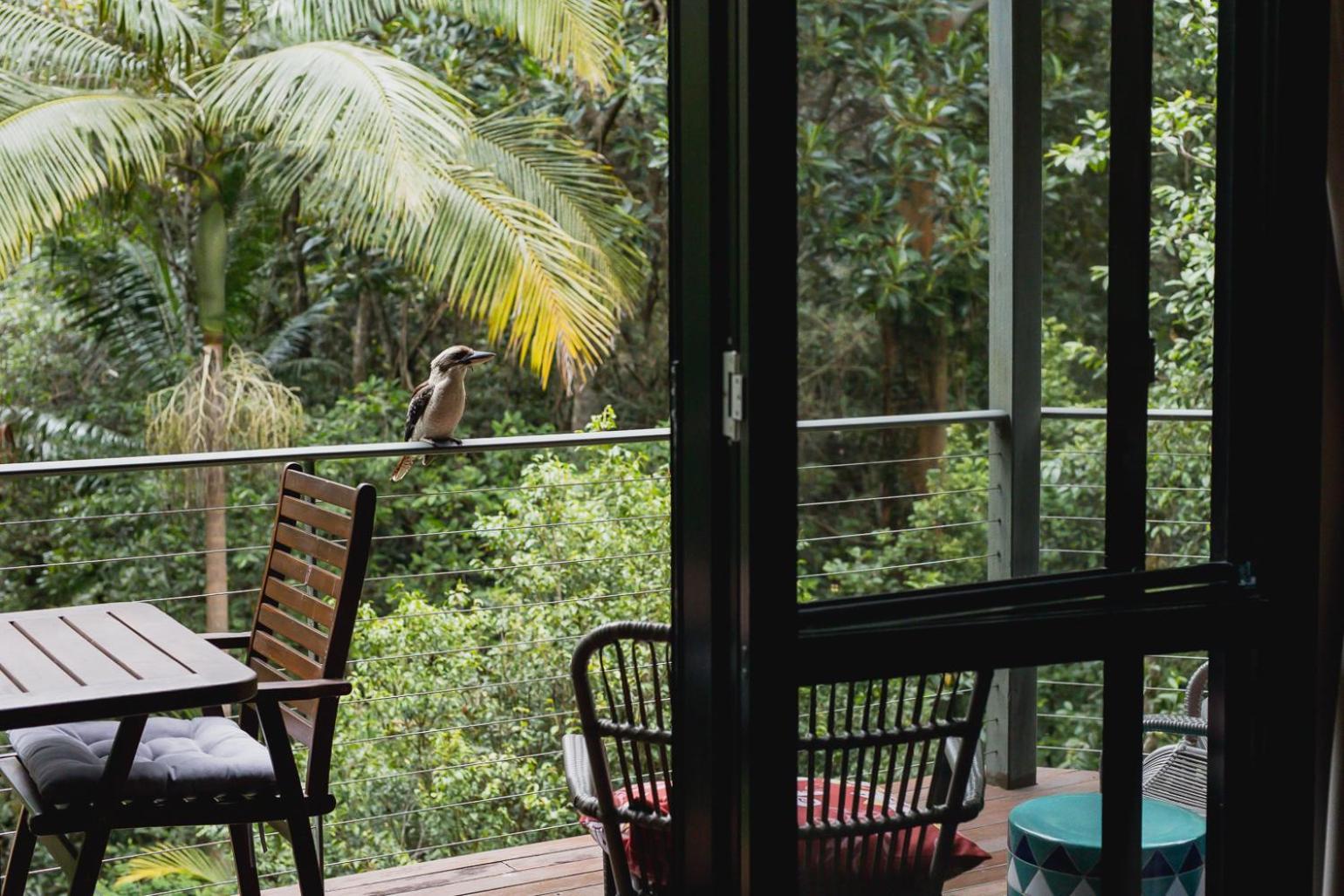Kondalilla Eco Resort Montville Kültér fotó