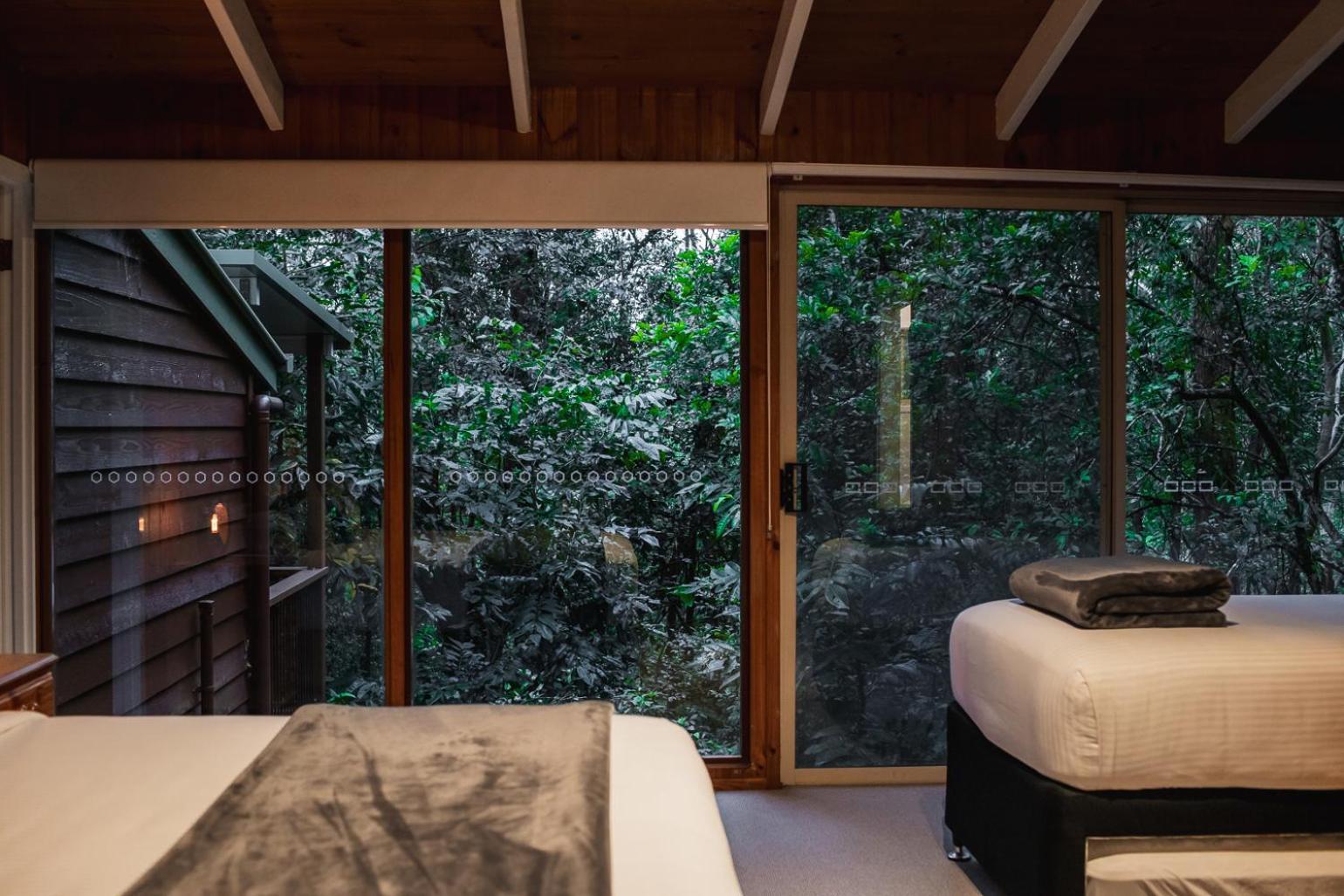 Kondalilla Eco Resort Montville Kültér fotó