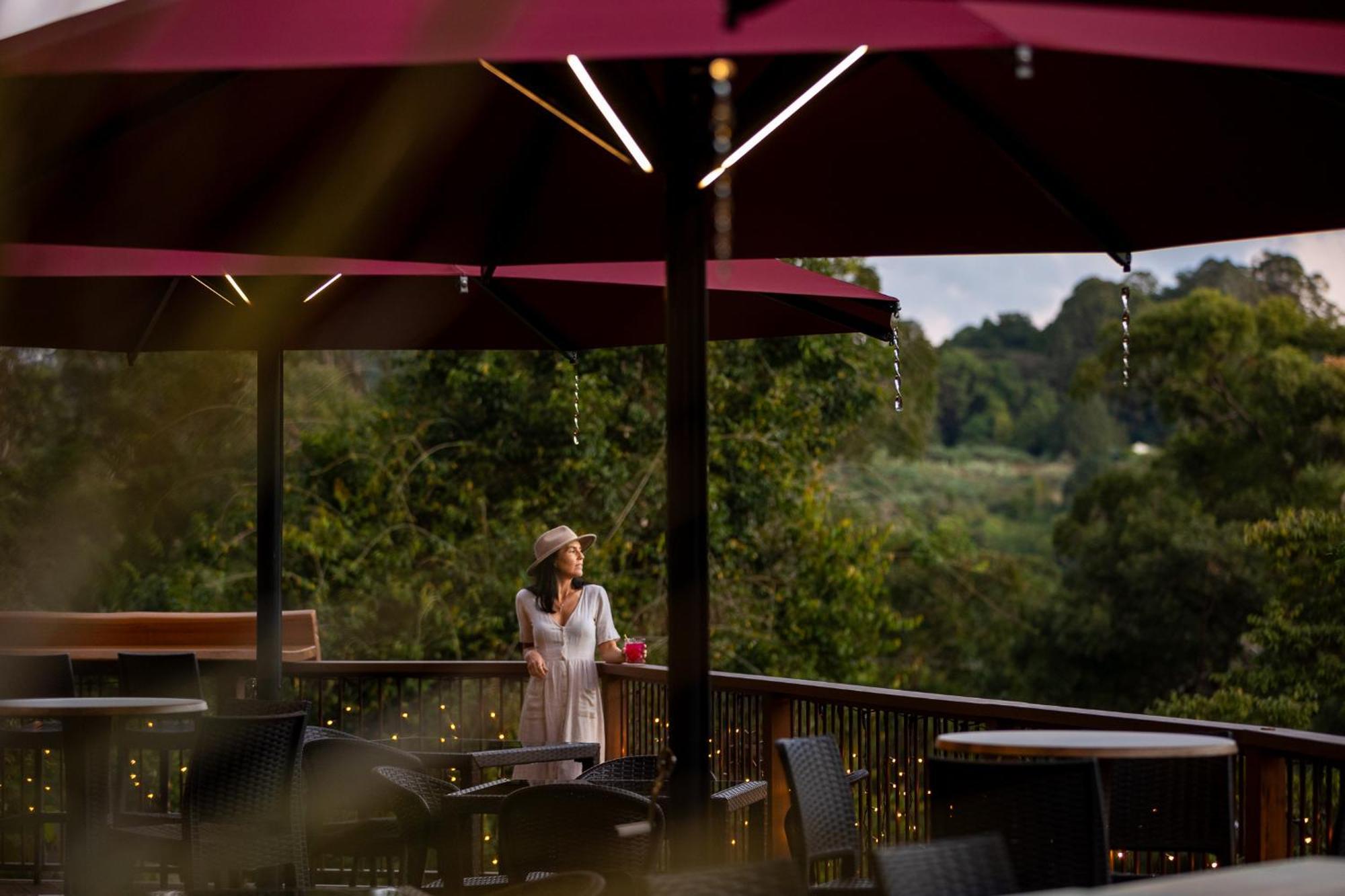Kondalilla Eco Resort Montville Kültér fotó