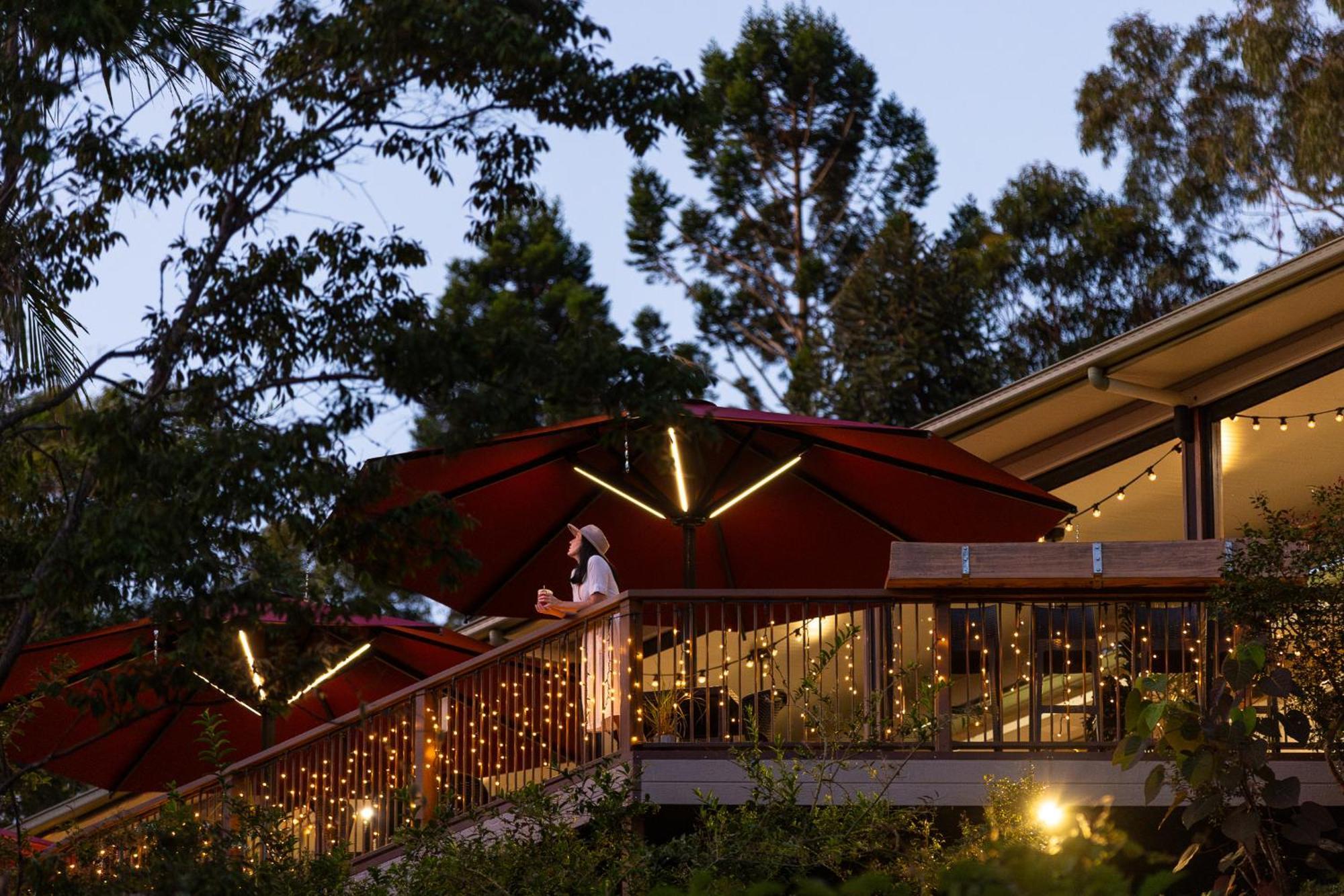 Kondalilla Eco Resort Montville Kültér fotó