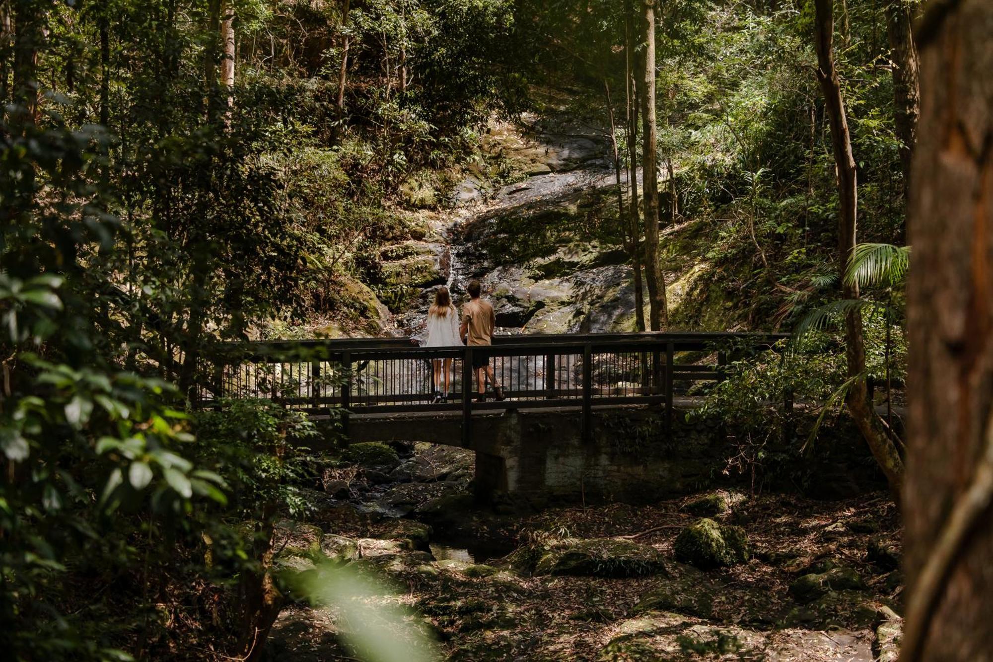 Kondalilla Eco Resort Montville Kültér fotó